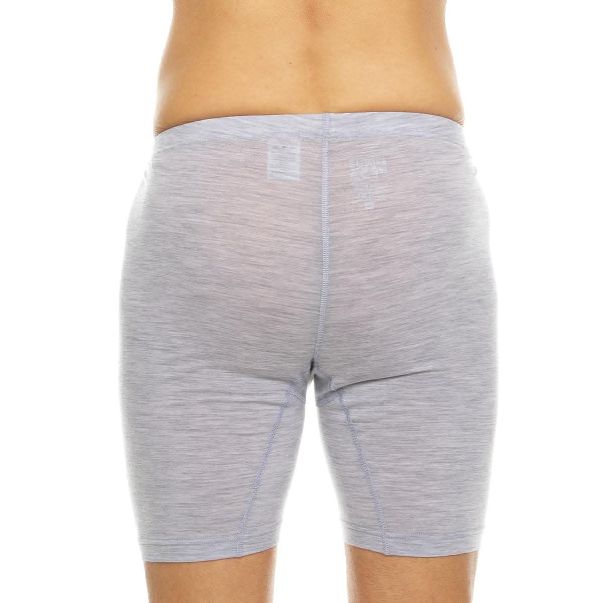 merino_wool_boxer_briefs_1311AG-2.jpg